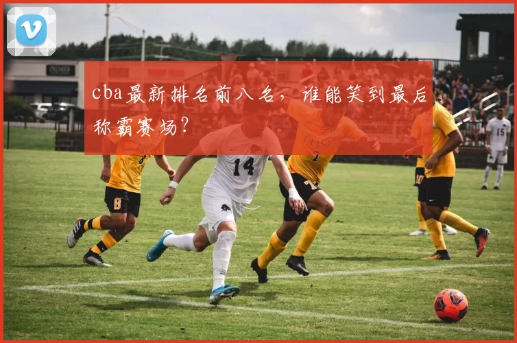 cba最新排名前八名，谁能笑到最后称霸赛场？