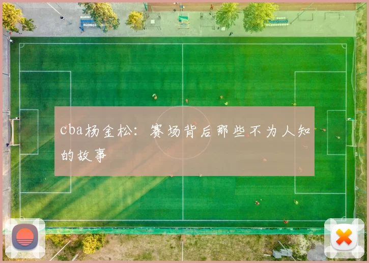 cba杨金松:赛场背后那些不为人知的故事