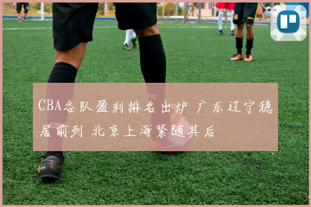 CBA各队盈利排名出炉 广东辽宁稳居前列 北京上海紧随其后