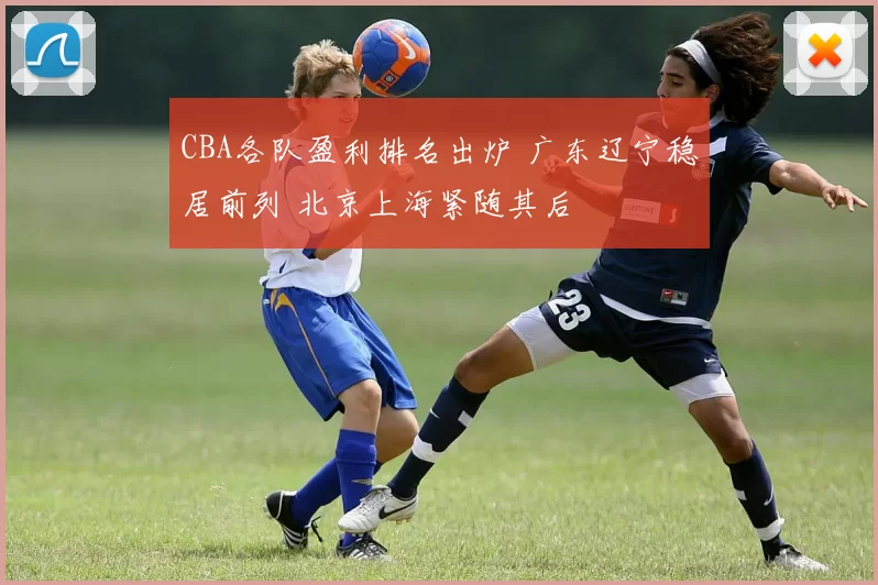 CBA各队盈利排名出炉 广东辽宁稳居前列 北京上海紧随其后