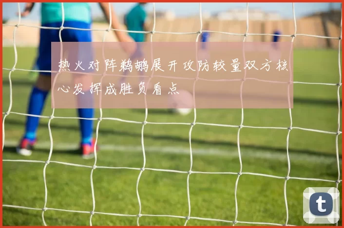 热火对阵鹈鹕展开攻防较量双方核心发挥成胜负看点